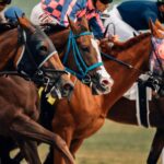 Ensure a Safe Betting Experience: Verify with the Eat and Run Verification Site